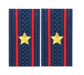 Фальшпогоны