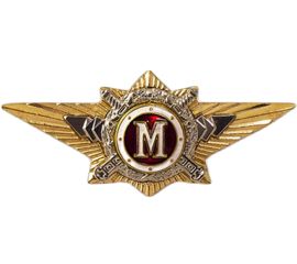 Знаки классности, значки