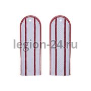 Погоны ФСИН 2 пр. голубые (пластик)