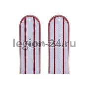 Погоны ФСИН 2 пр. голубые (пластик, 12 см)